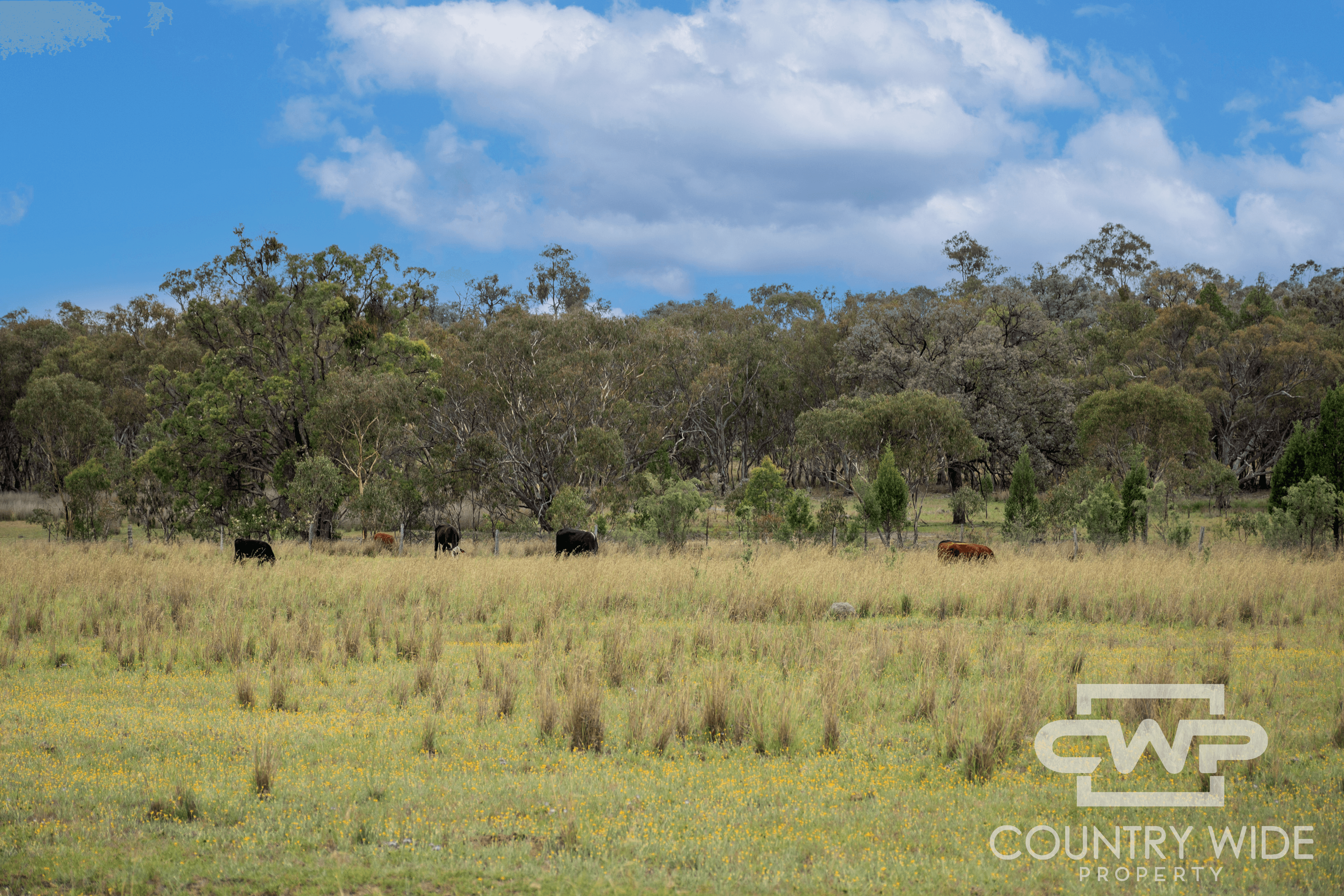 1461 Atholwood Road, BONSHAW, NSW 2361