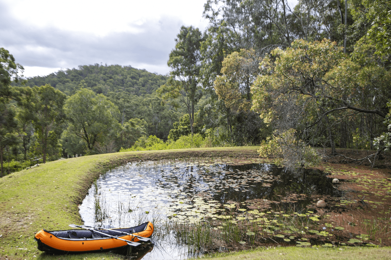 197 Newspaper Hill Road, BELLI PARK, QLD 4562