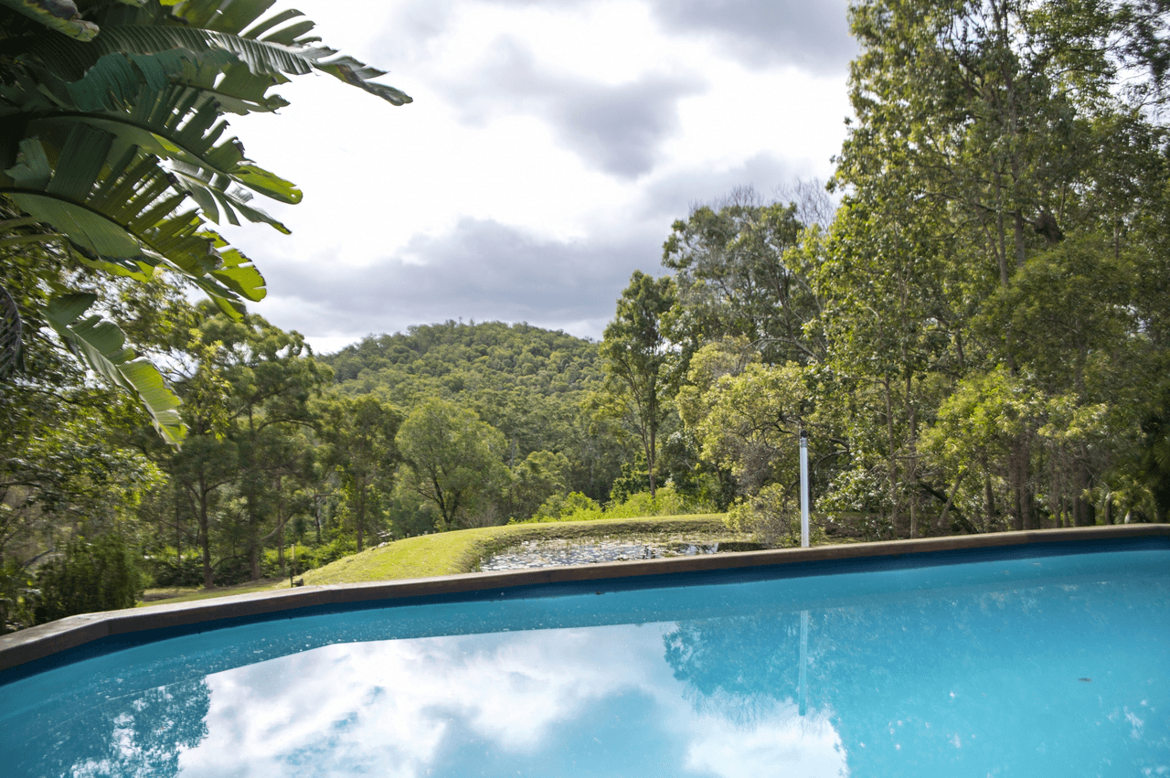 197 Newspaper Hill Road, BELLI PARK, QLD 4562