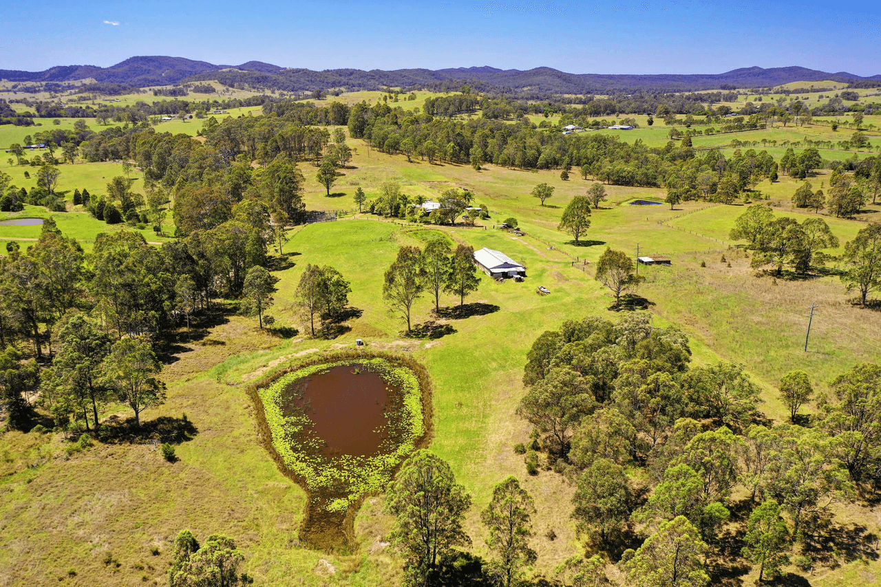 1431 Willina Rd, Bunyah, NSW 2429