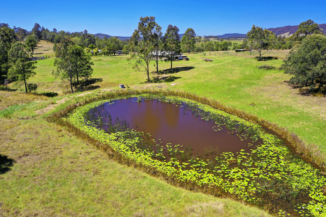 1431 Willina Rd, Bunyah, NSW 2429