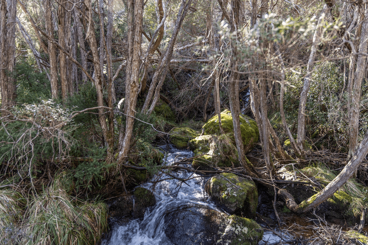 7/10 Crackenback Drive, Thredbo, NSW 2625