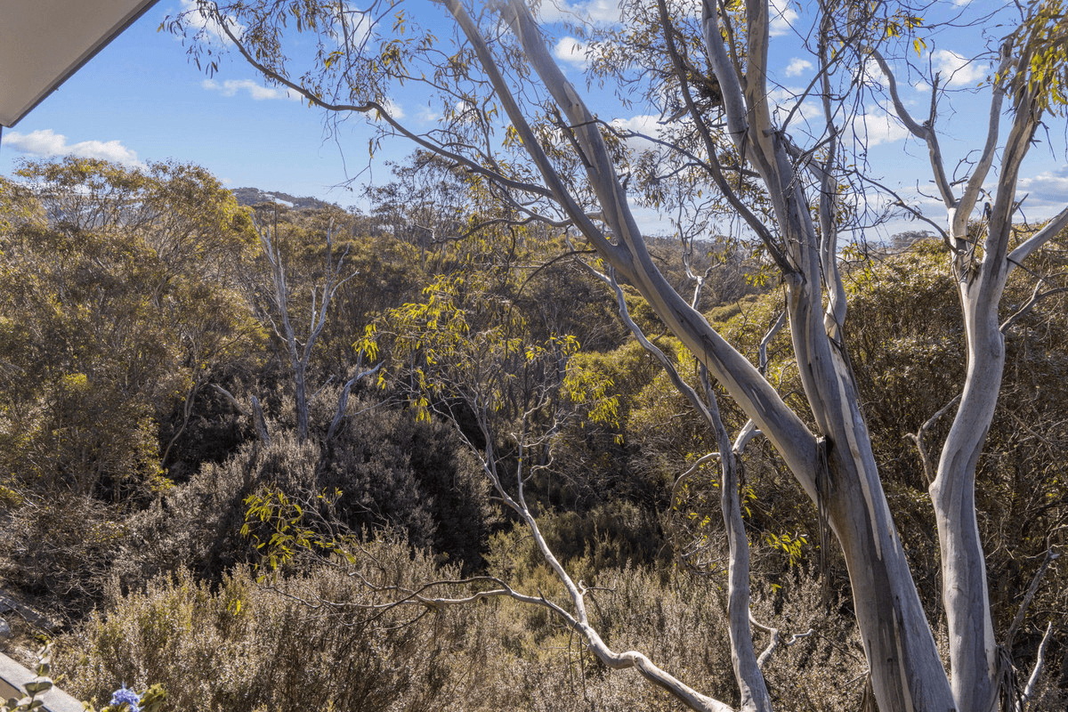 7/10 Crackenback Drive, Thredbo, NSW 2625