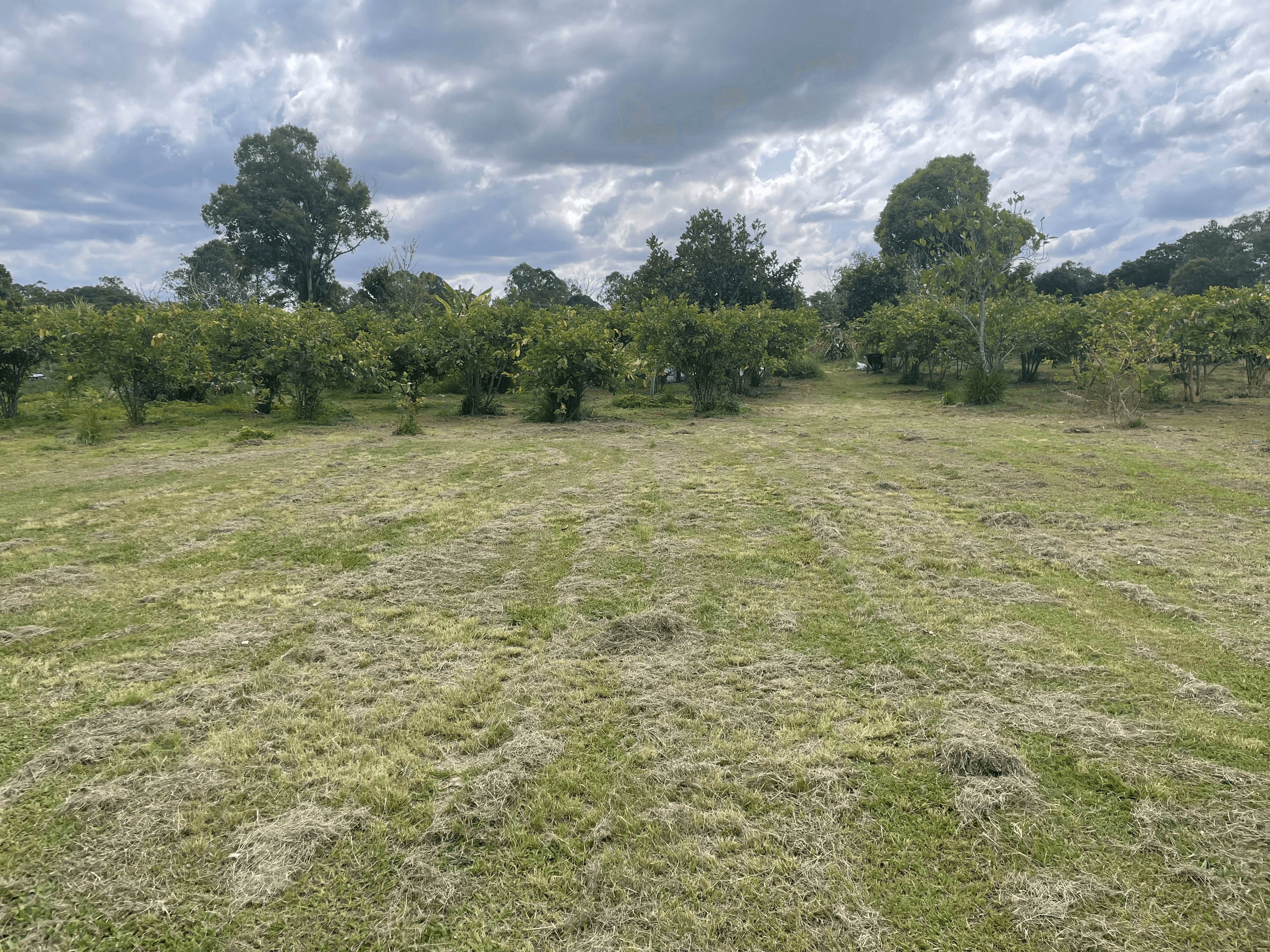 457-465 WATERFORD TAMBORINE ROAD, BUCCAN, QLD 4207