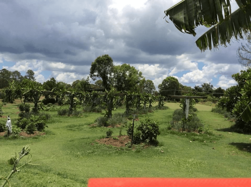 457-465 WATERFORD TAMBORINE ROAD, BUCCAN, QLD 4207