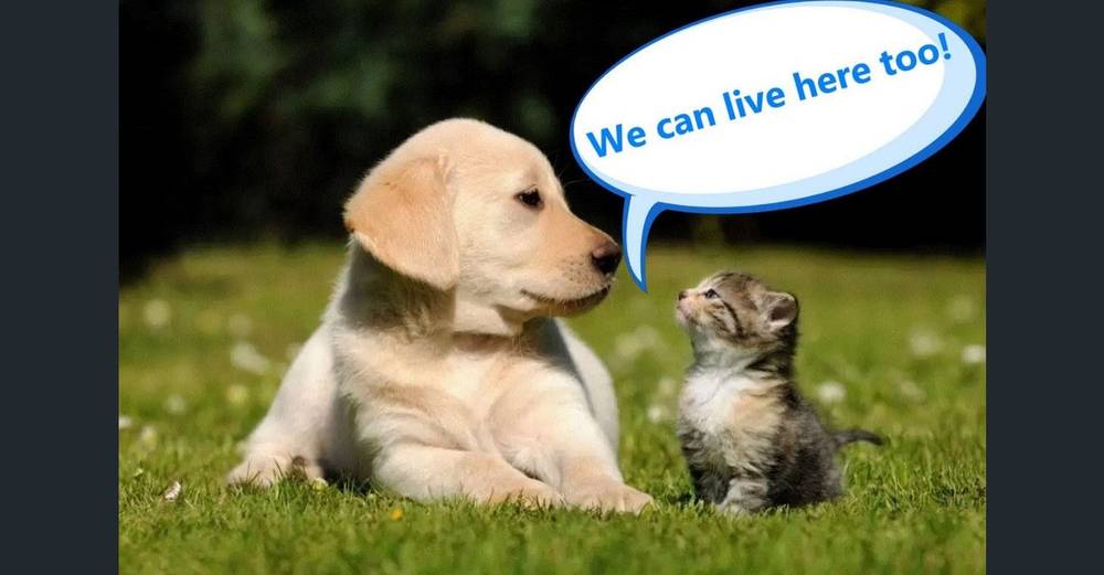 106/38 Albany Street, St Leonards, NSW 2065