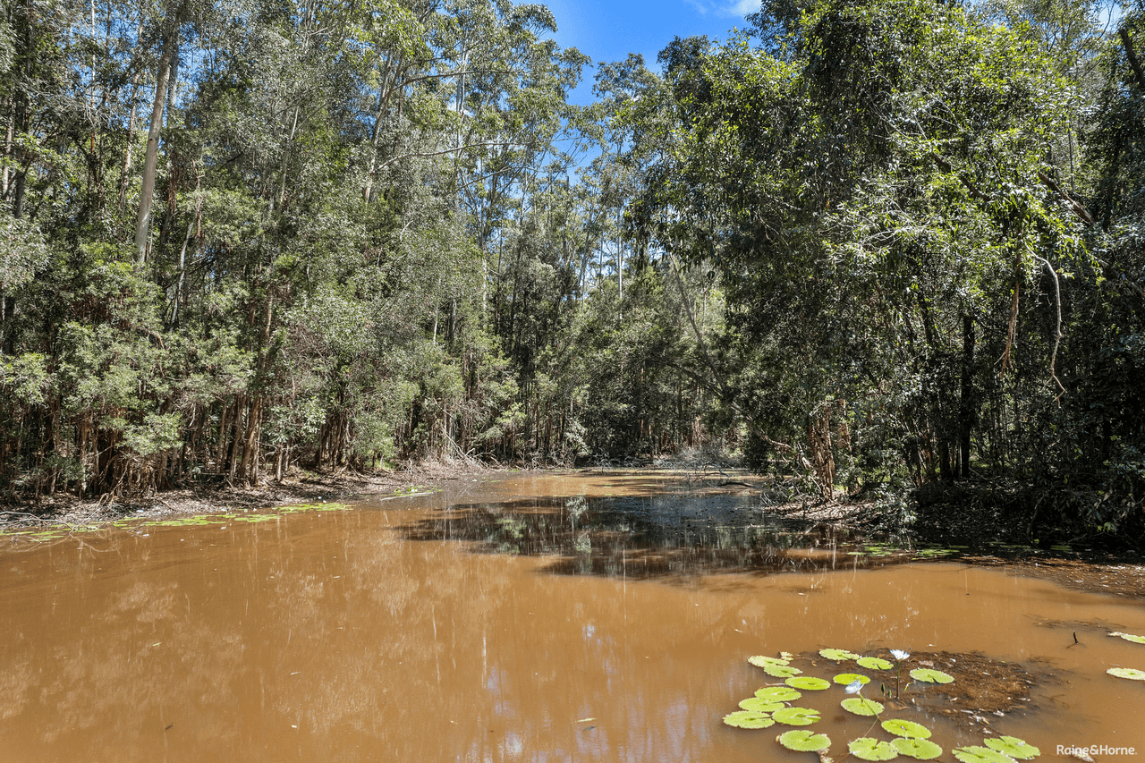 84 Monarch Road, CARTERS RIDGE, QLD 4563