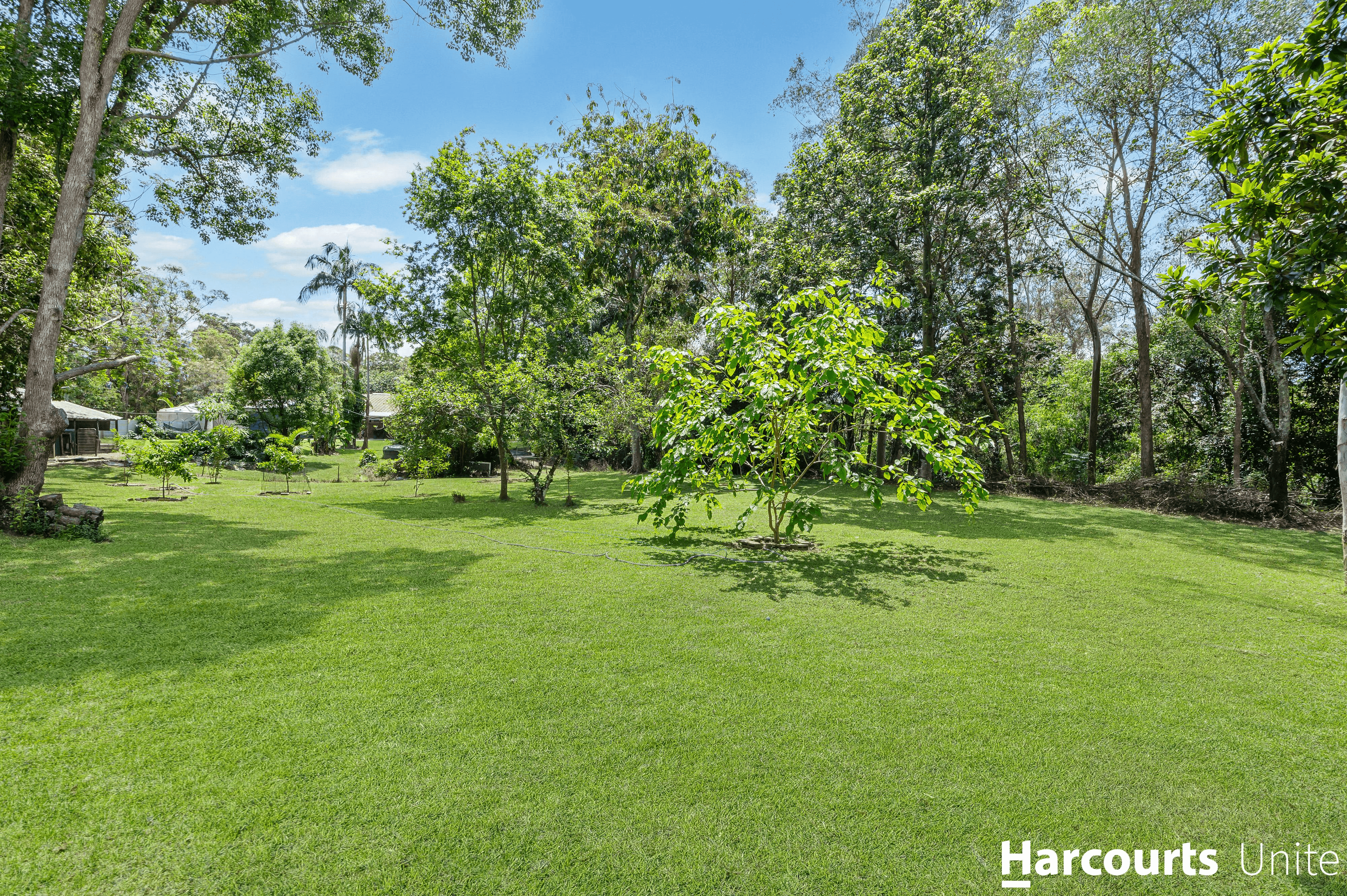 50 Thompson Road, BELLMERE, QLD 4510