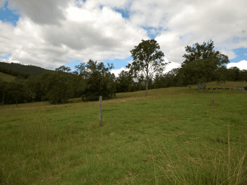 617 Caparra Road, CAPARRA, NSW 2429