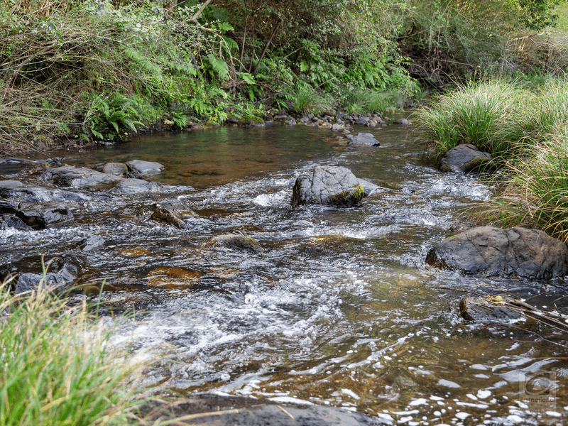 1242 Tuntable Creek Road, Nimbin, NSW 2480