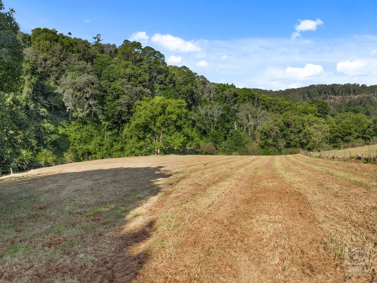 1242 Tuntable Creek Road, Nimbin, NSW 2480