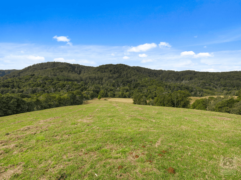 1242 Tuntable Creek Road, Nimbin, NSW 2480