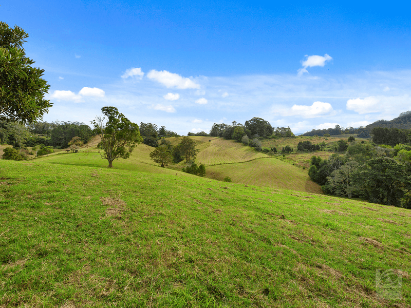 1242 Tuntable Creek Road, Nimbin, NSW 2480