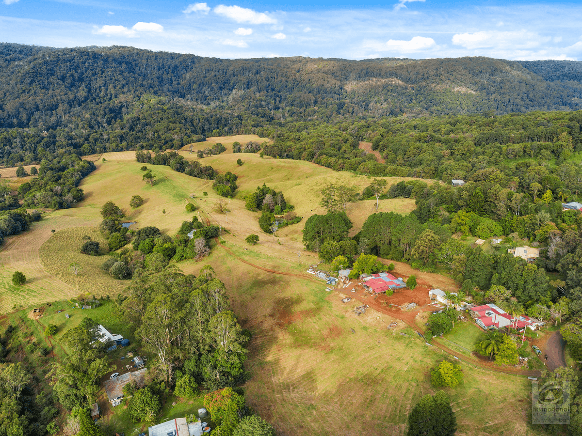 1242 Tuntable Creek Road, Nimbin, NSW 2480