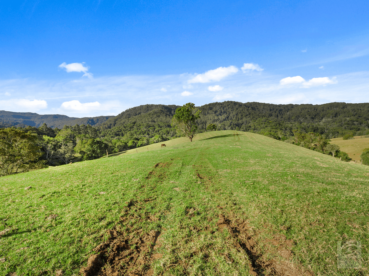 1242 Tuntable Creek Road, Nimbin, NSW 2480