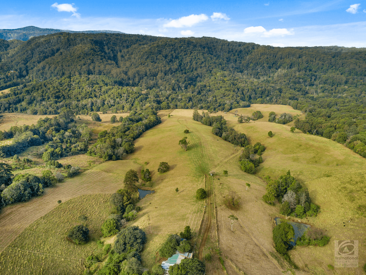 1242 Tuntable Creek Road, Nimbin, NSW 2480