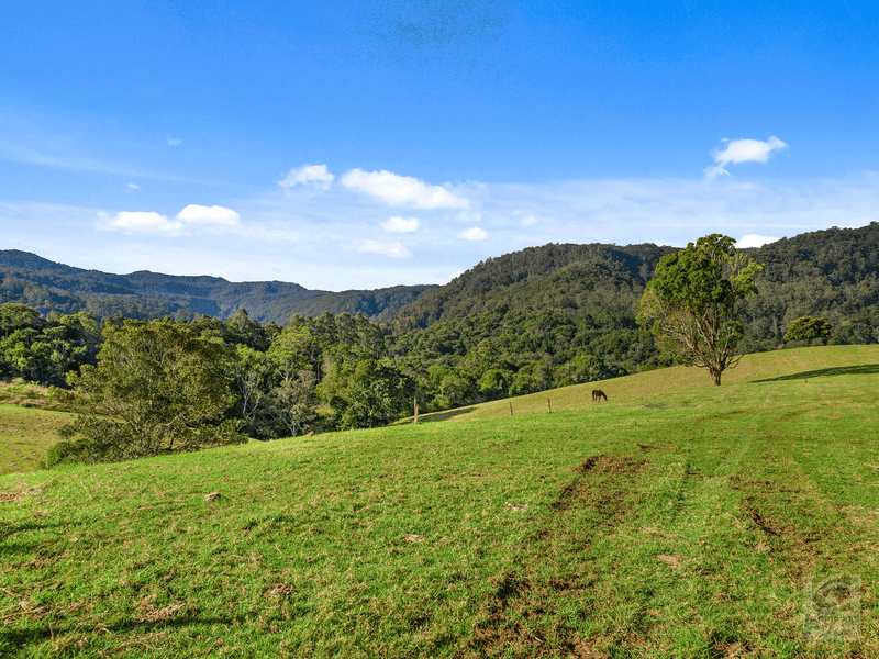 1242 Tuntable Creek Road, Nimbin, NSW 2480