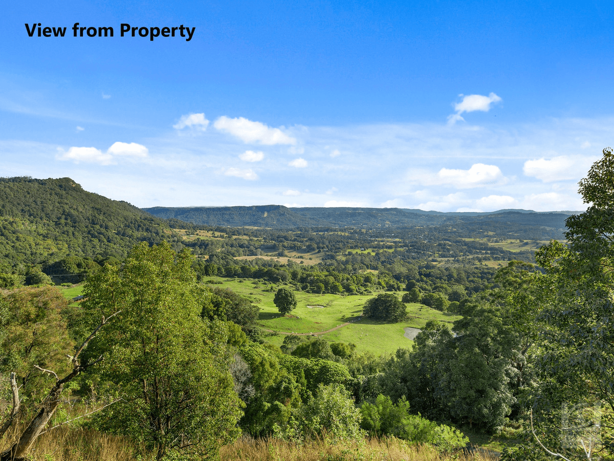 1242 Tuntable Creek Road, Nimbin, NSW 2480