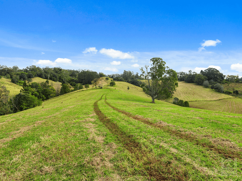 1242 Tuntable Creek Road, Nimbin, NSW 2480