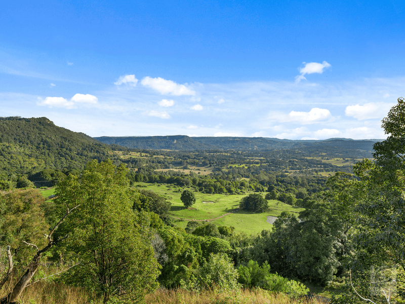 1242 Tuntable Creek Road, Nimbin, NSW 2480