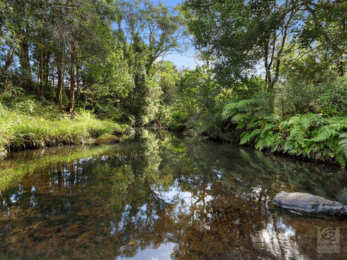 1242 Tuntable Creek Road, Nimbin, NSW 2480