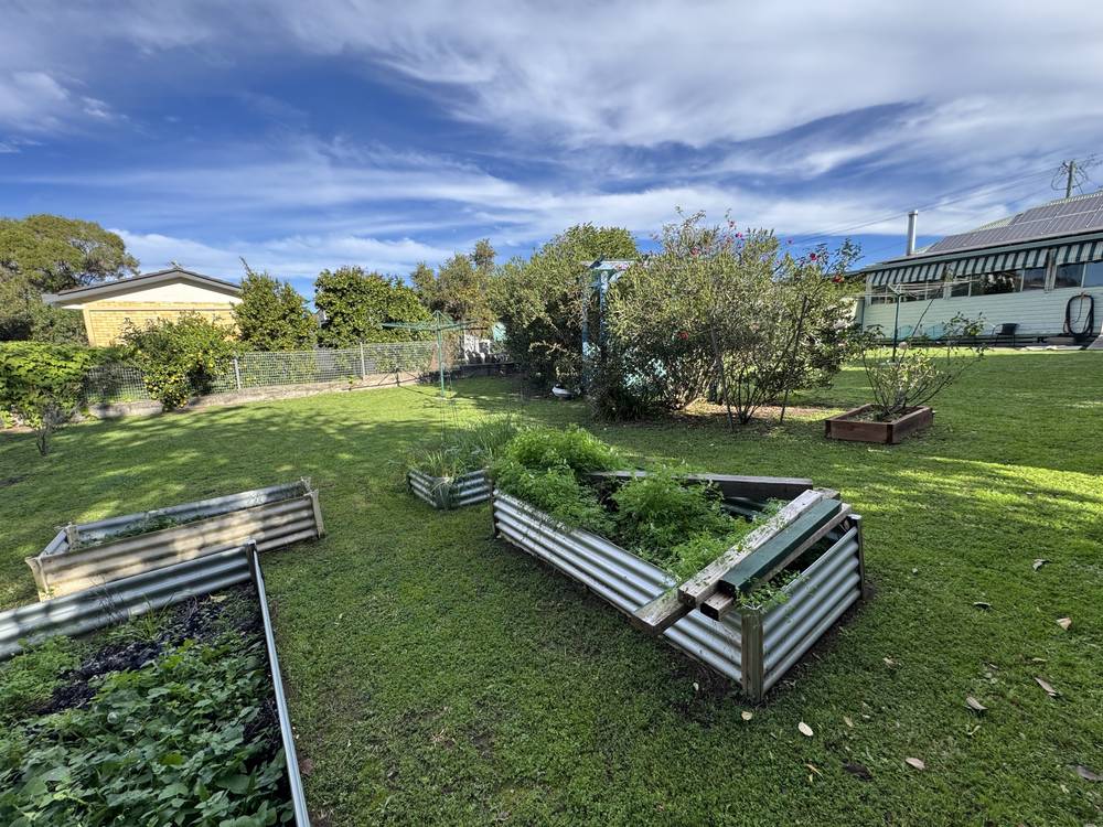 31 Herbert St, Inverell, NSW 2360