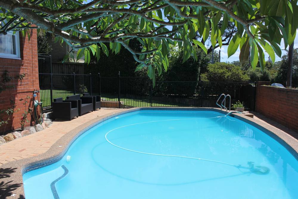 81 Iris Street, Beacon Hill, NSW 2100