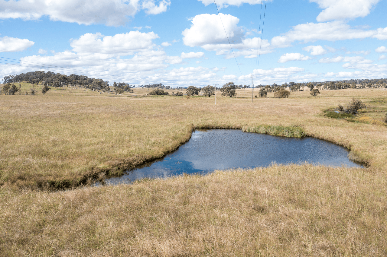 1670 Grafton Road, ARMIDALE, NSW 2350