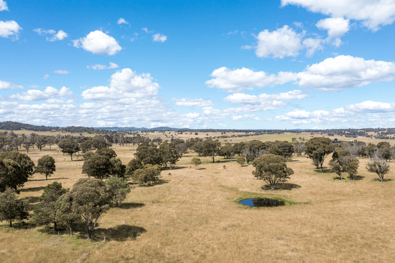 1670 Grafton Road, ARMIDALE, NSW 2350