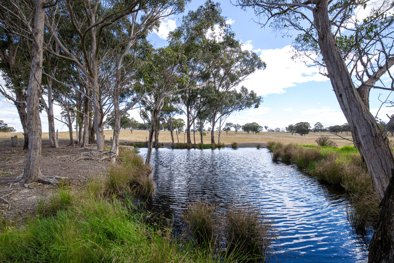 1670 Grafton Road, ARMIDALE, NSW 2350