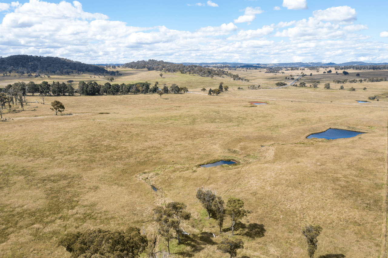 1670 Grafton Road, ARMIDALE, NSW 2350