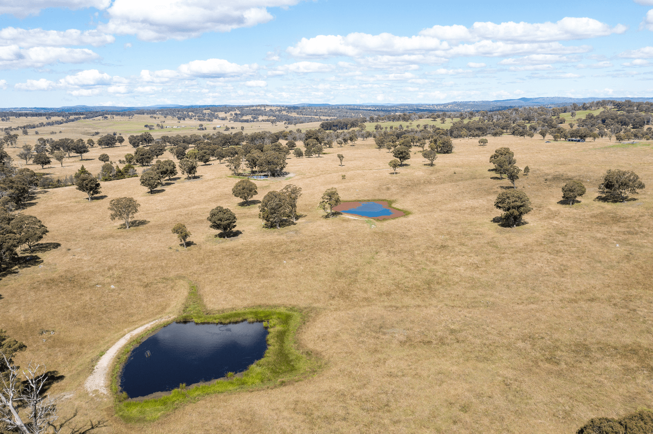 1670 Grafton Road, ARMIDALE, NSW 2350