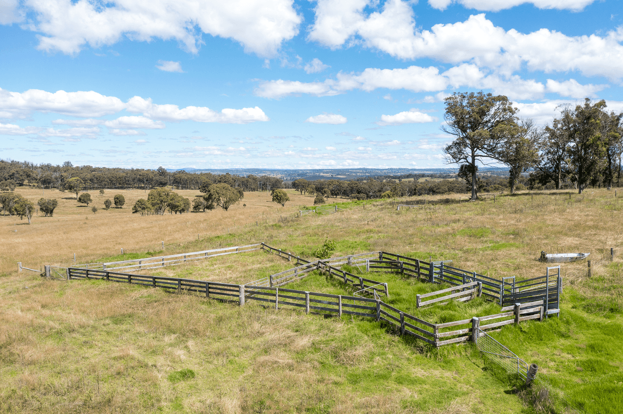 1670 Grafton Road, ARMIDALE, NSW 2350