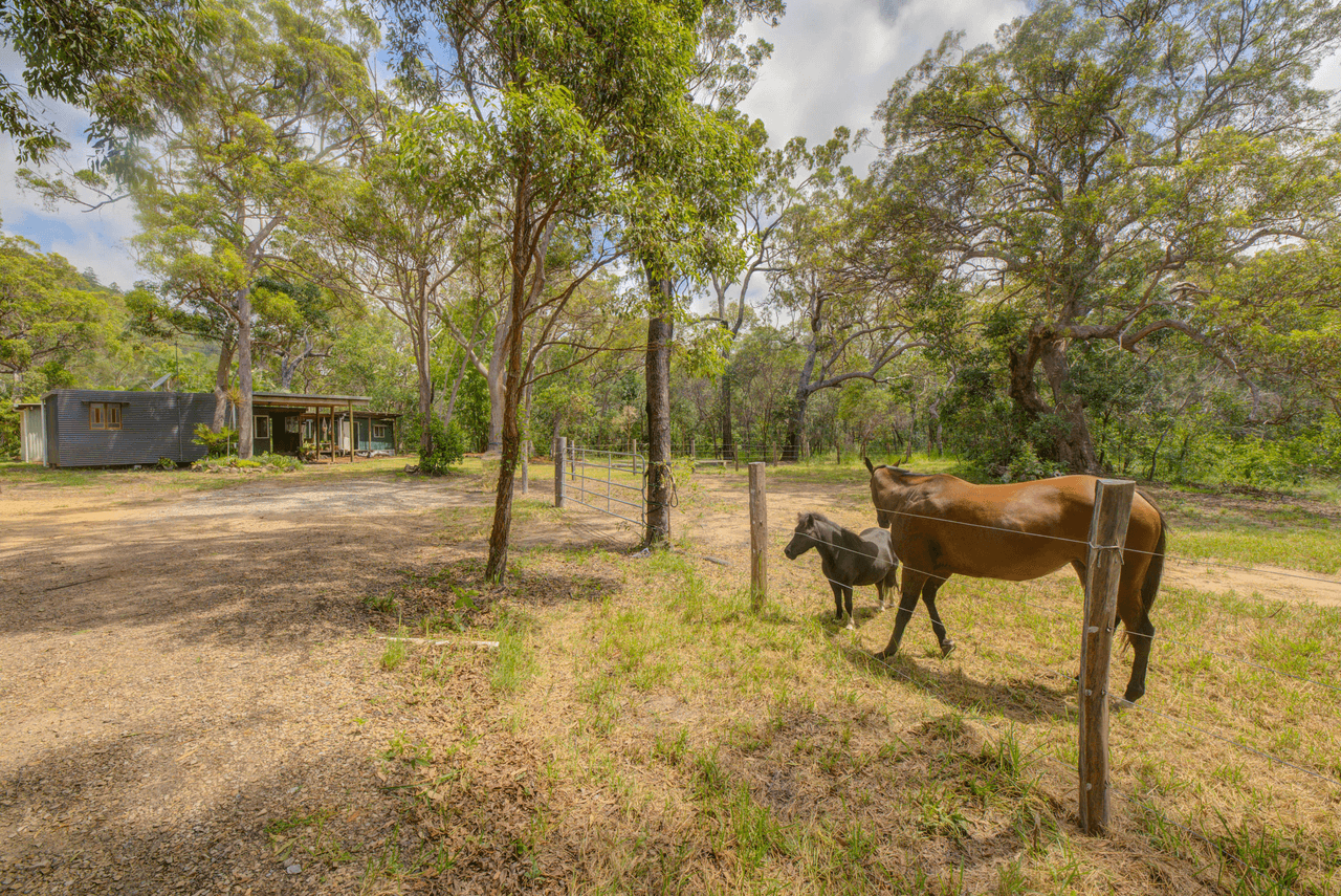 204 Allingham Way, AGNES WATER, QLD 4677