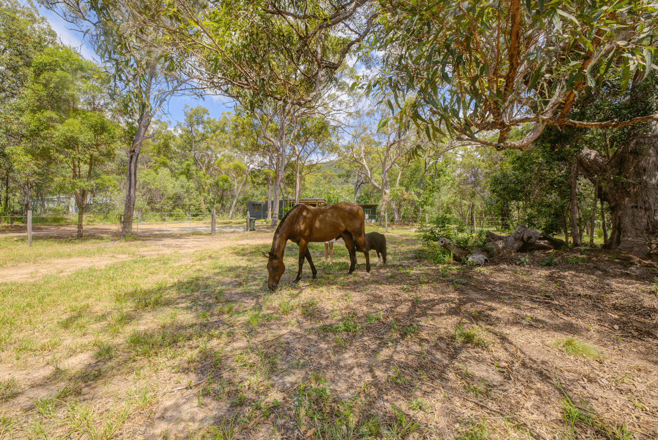 204 Allingham Way, AGNES WATER, QLD 4677