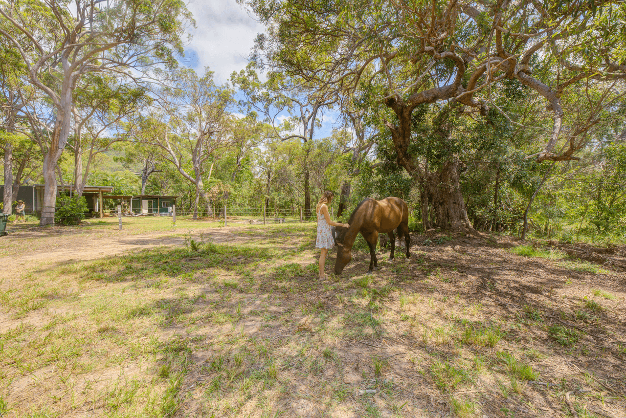 204 Allingham Way, AGNES WATER, QLD 4677