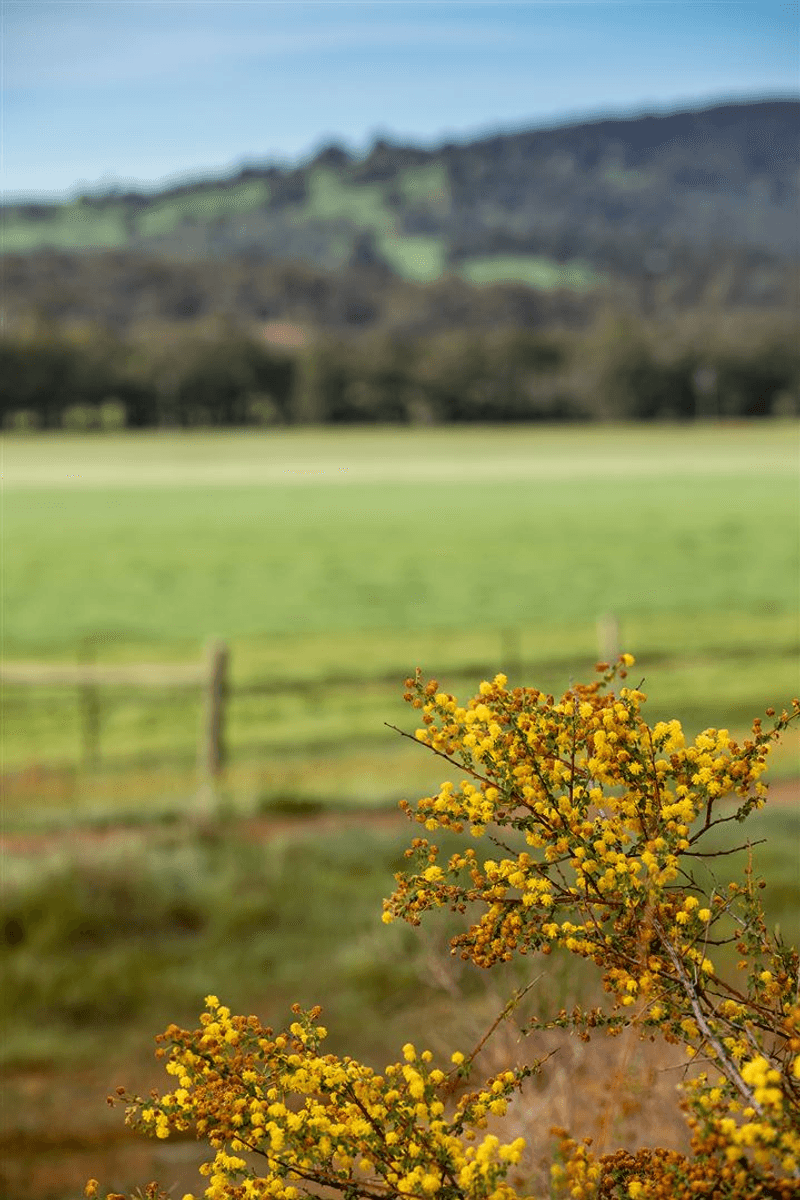 Lot 728 Jersey Road, Lower Chittering, WA 6084