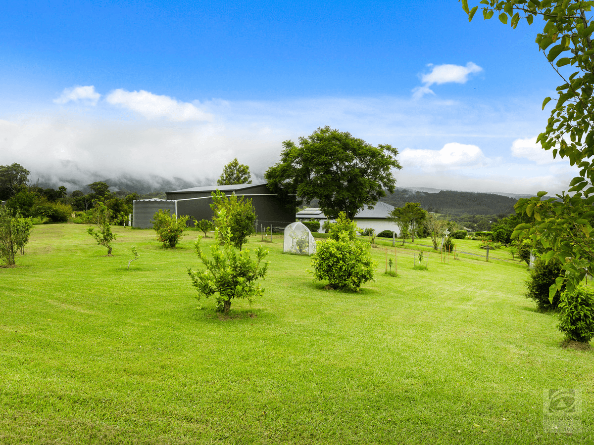 32 Yellowood Road, Tyalgum, NSW 2484