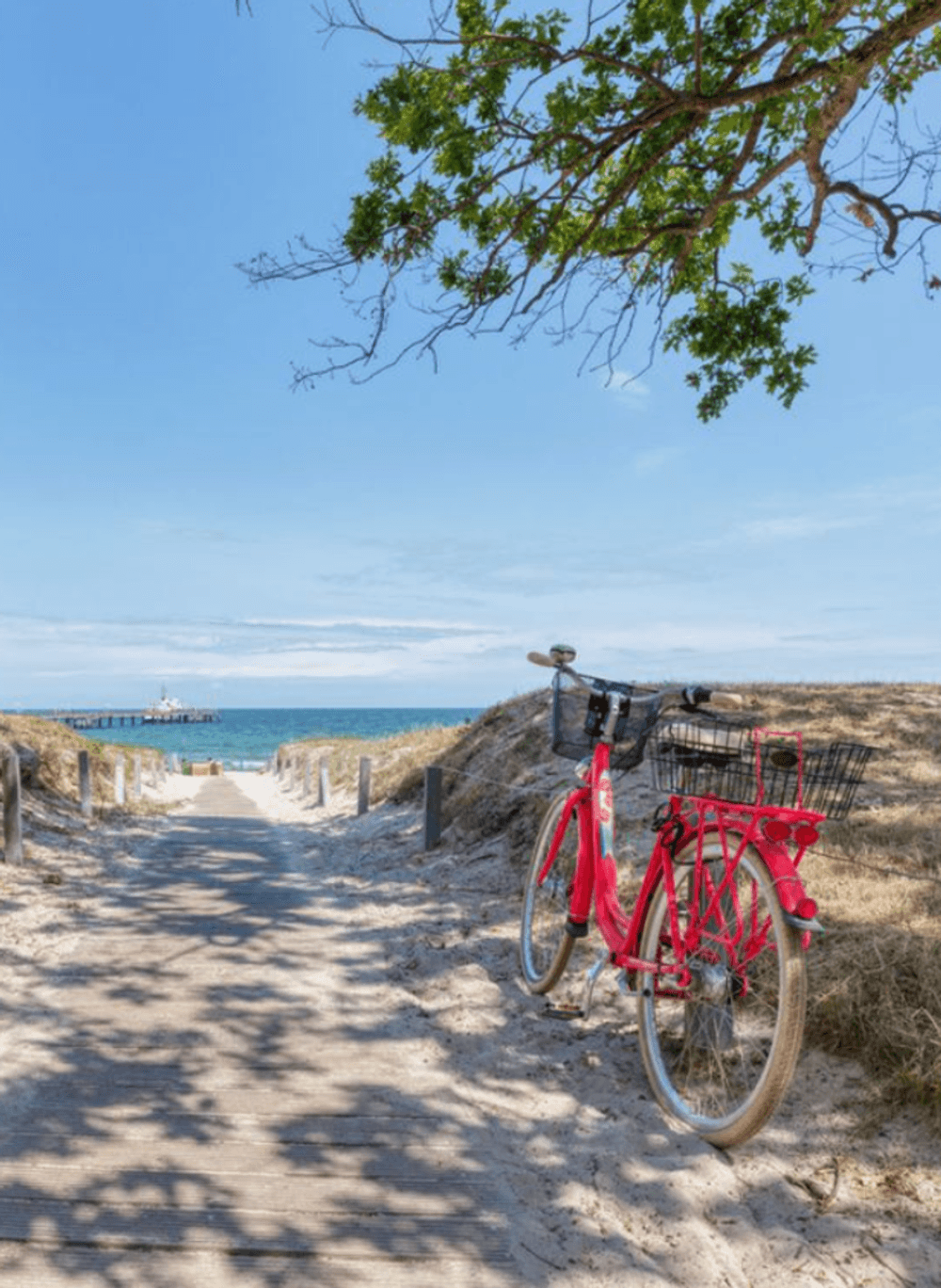 493-495 Nepean Highway, CHELSEA, VIC 3196