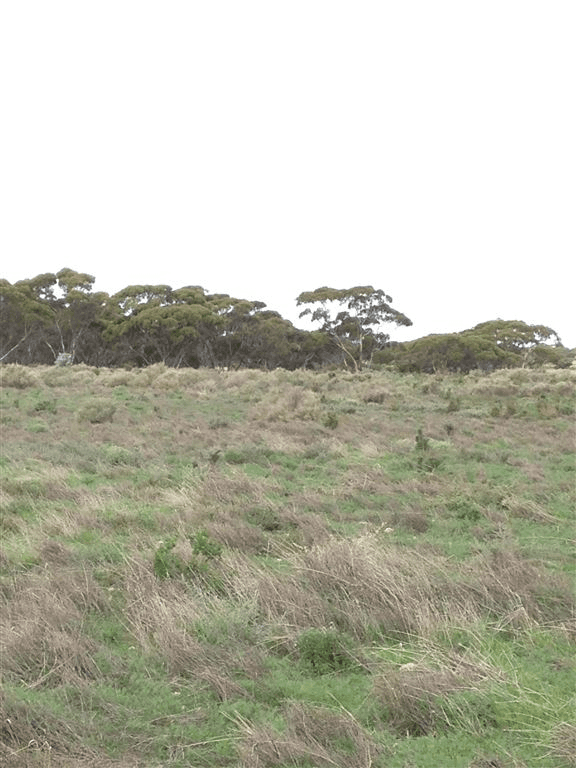 Lot 91 Foote Road, Eudunda, SA 5374