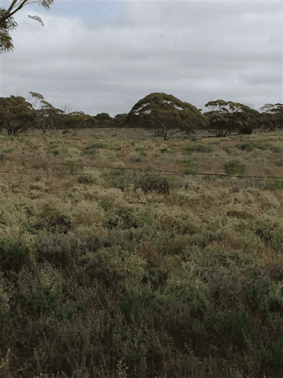 Lot 91 Foote Road, Eudunda, SA 5374