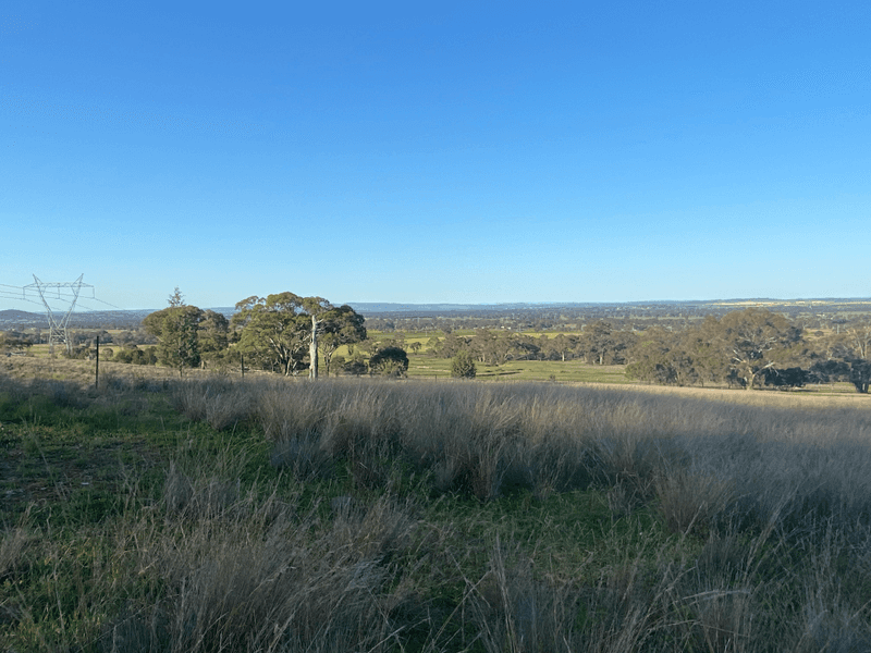 6739 Holbrook Road, Rowan, NSW 2650