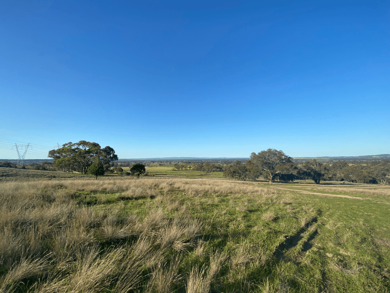 6739 Holbrook Road, Rowan, NSW 2650