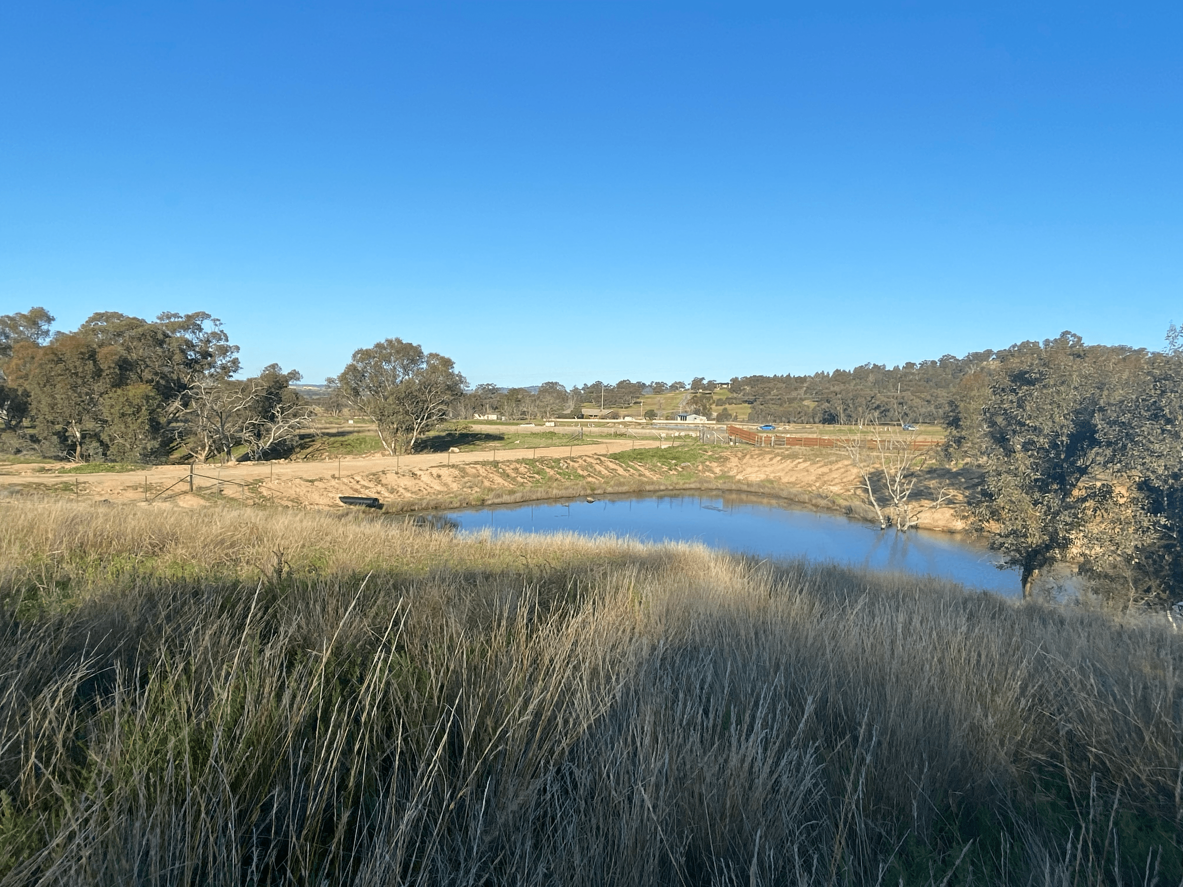 6739 Holbrook Road, Rowan, NSW 2650