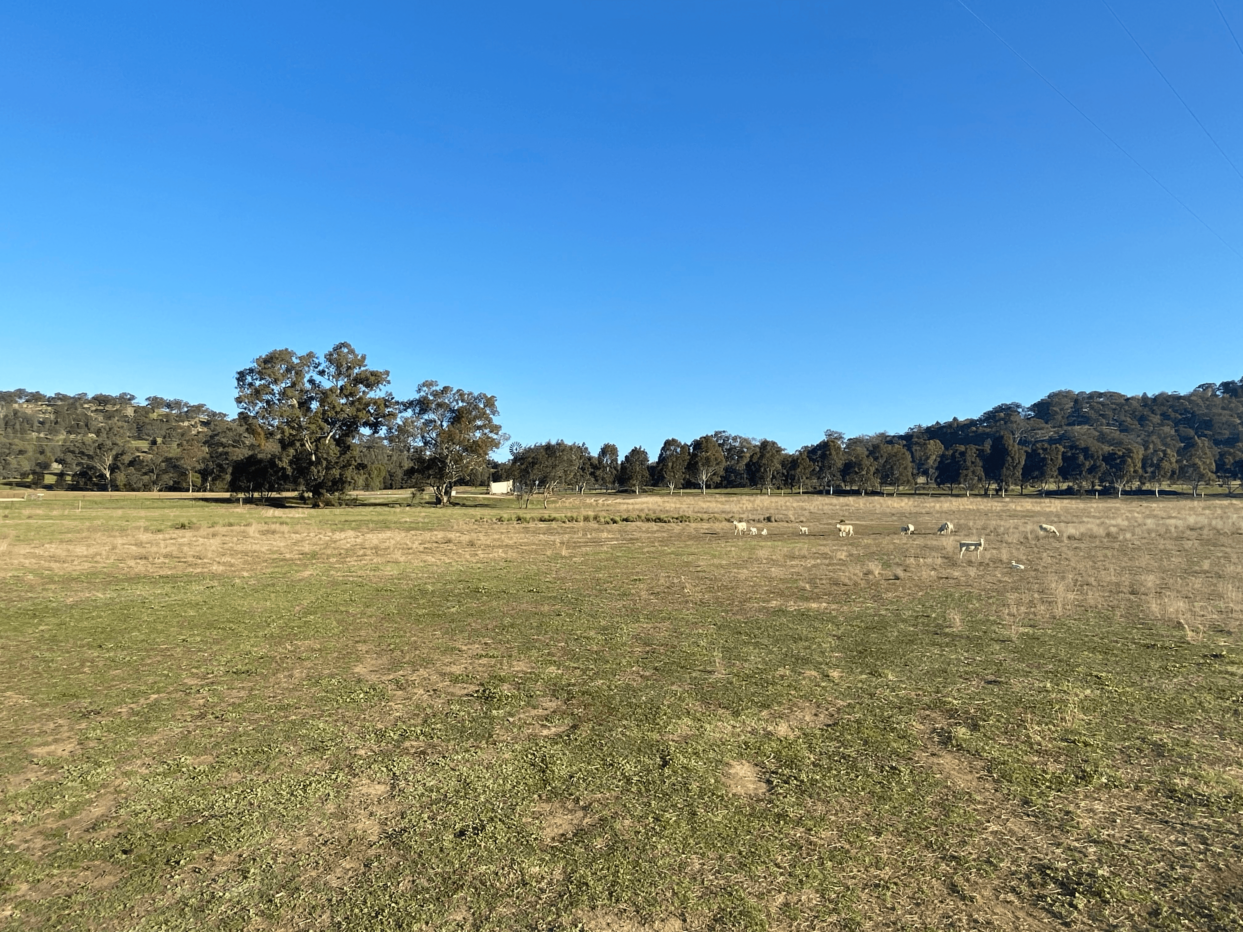 6739 Holbrook Road, Rowan, NSW 2650