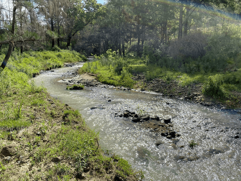 3239 Armidale Road, Blaxlands Creek, NSW 2460