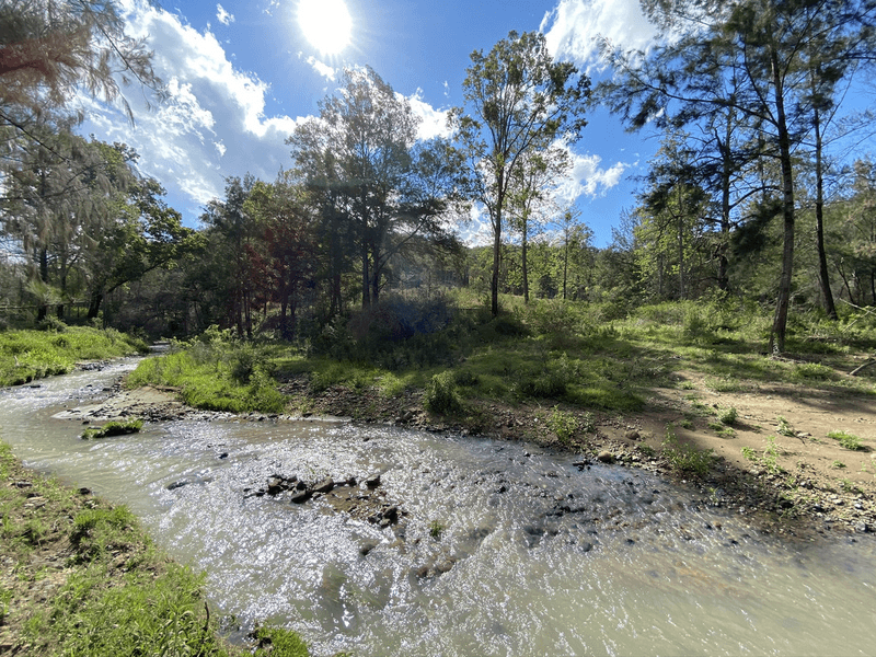 3239 Armidale Road, Blaxlands Creek, NSW 2460