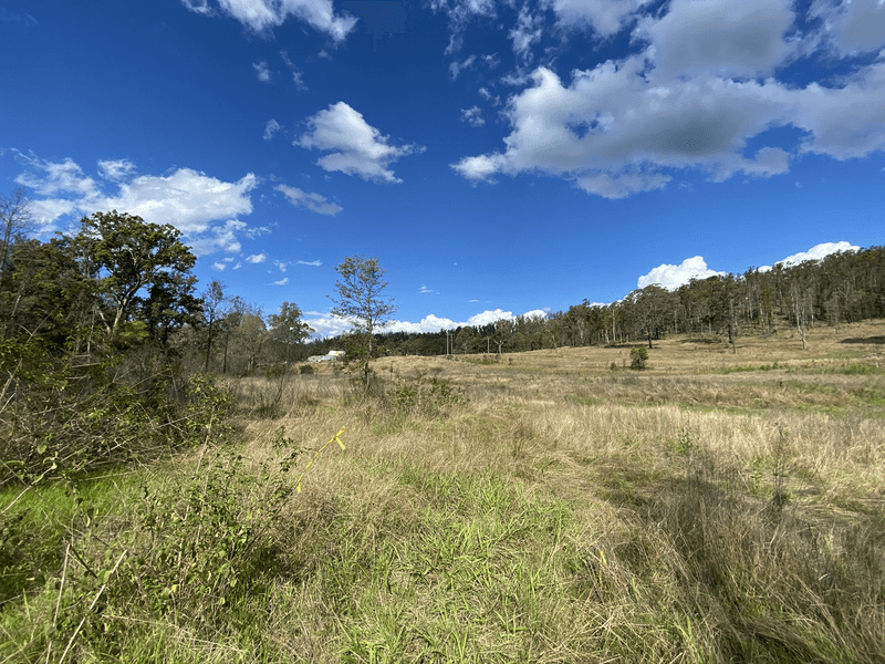 3239 Armidale Road, Blaxlands Creek, NSW 2460