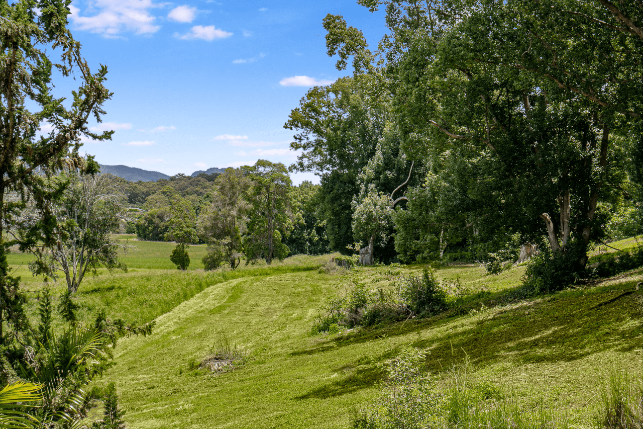 20 Hideaway Lane, MURWILLUMBAH, NSW 2484