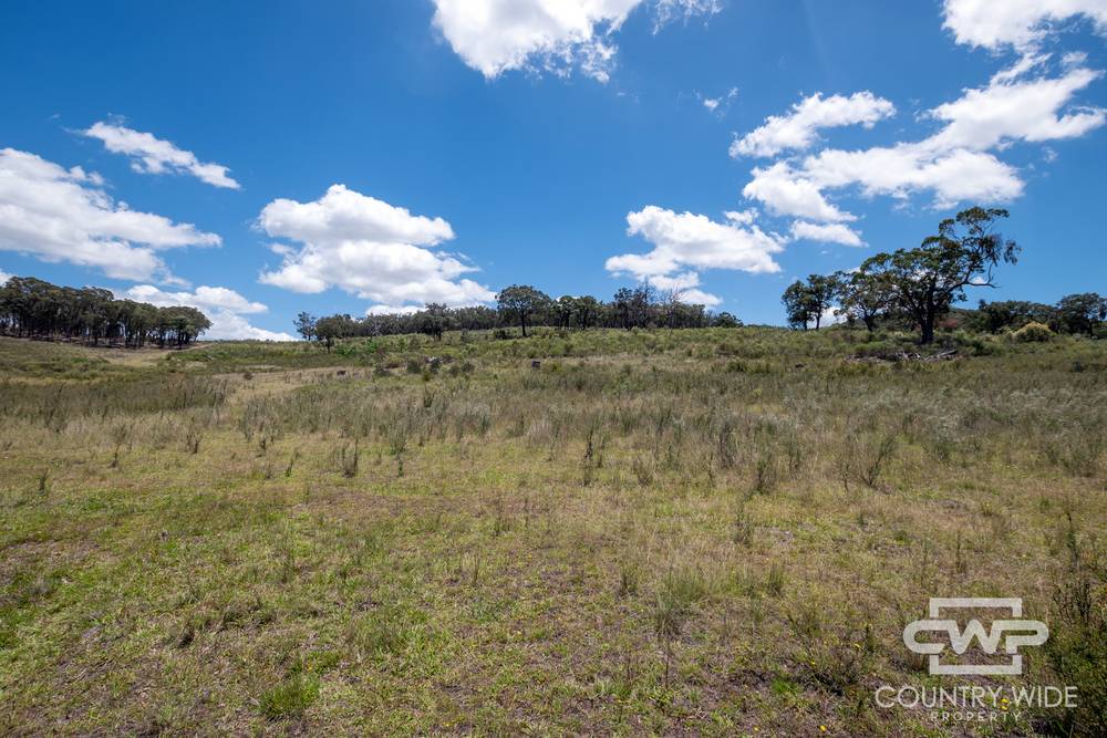 2202 Wellington Vale Road, EMMAVILLE, NSW 2371